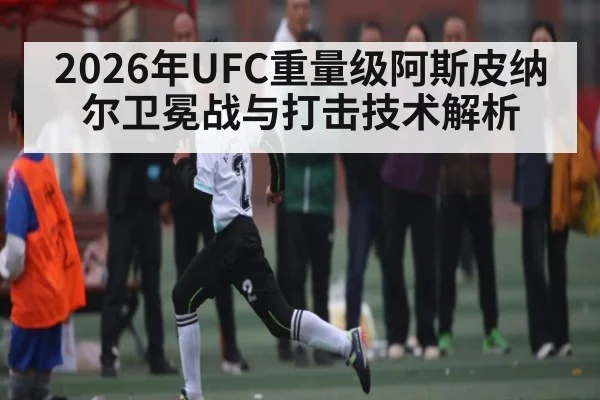 2026年UFC重量级阿斯皮纳尔卫冕战与打击技术解析